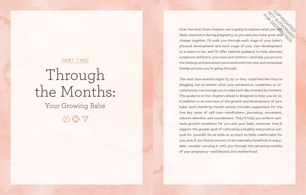 Nurture: A Modern Guide to Pregnancy, Birth, Early Motherhood—and Trusting Yourself and Your Body