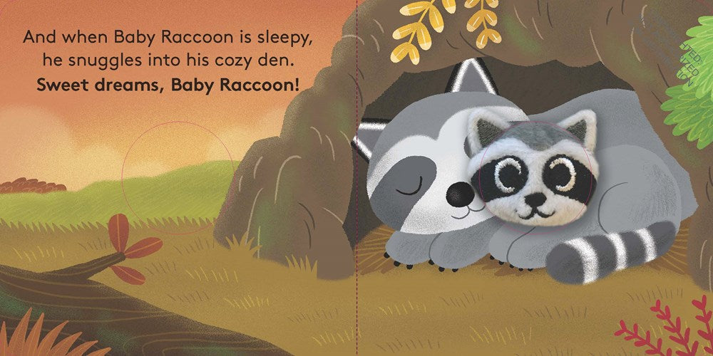 Baby Raccoon: Finger Puppet Book