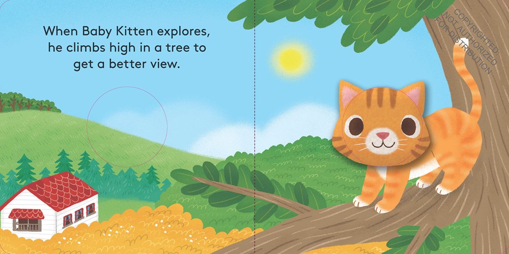 Baby Kitten: Finger Puppet Book