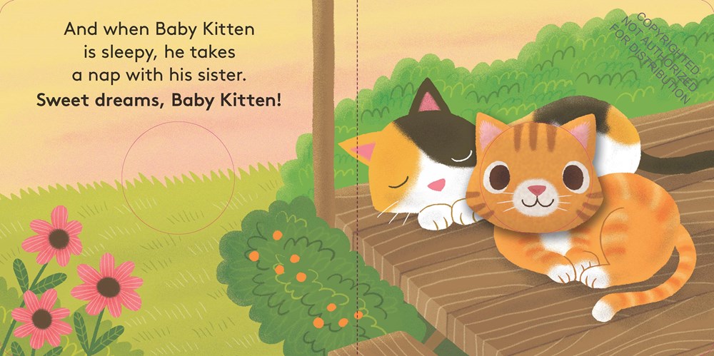 Baby Kitten: Finger Puppet Book