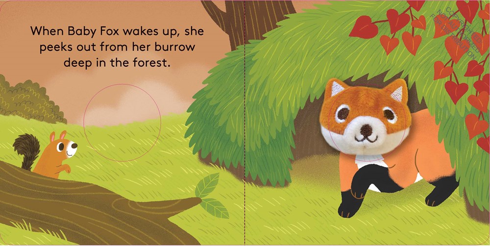 Baby Fox