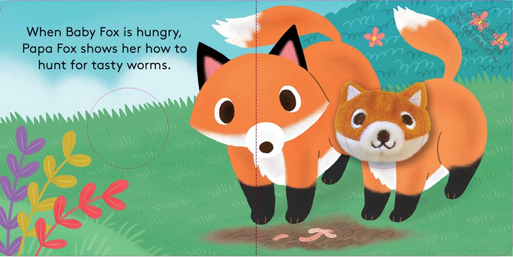 Baby Fox