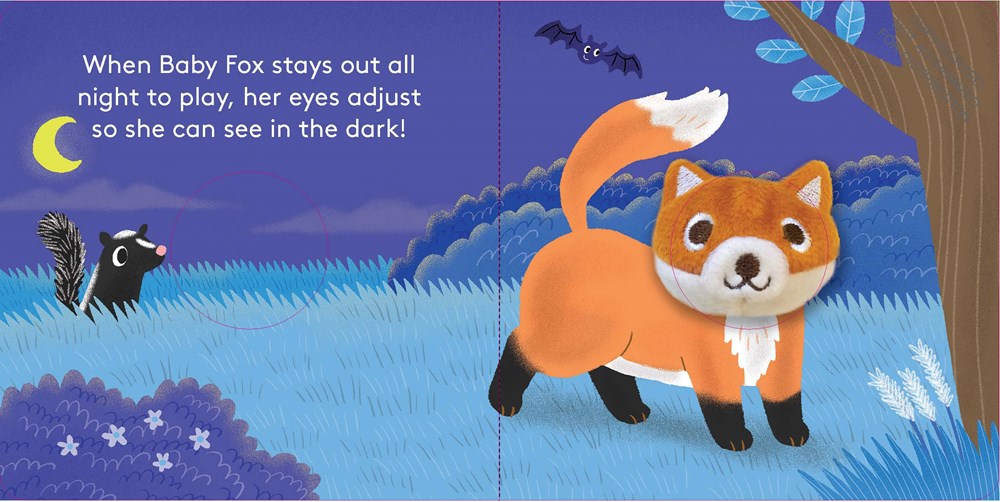 Baby Fox