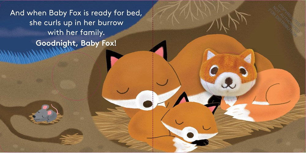 Baby Fox