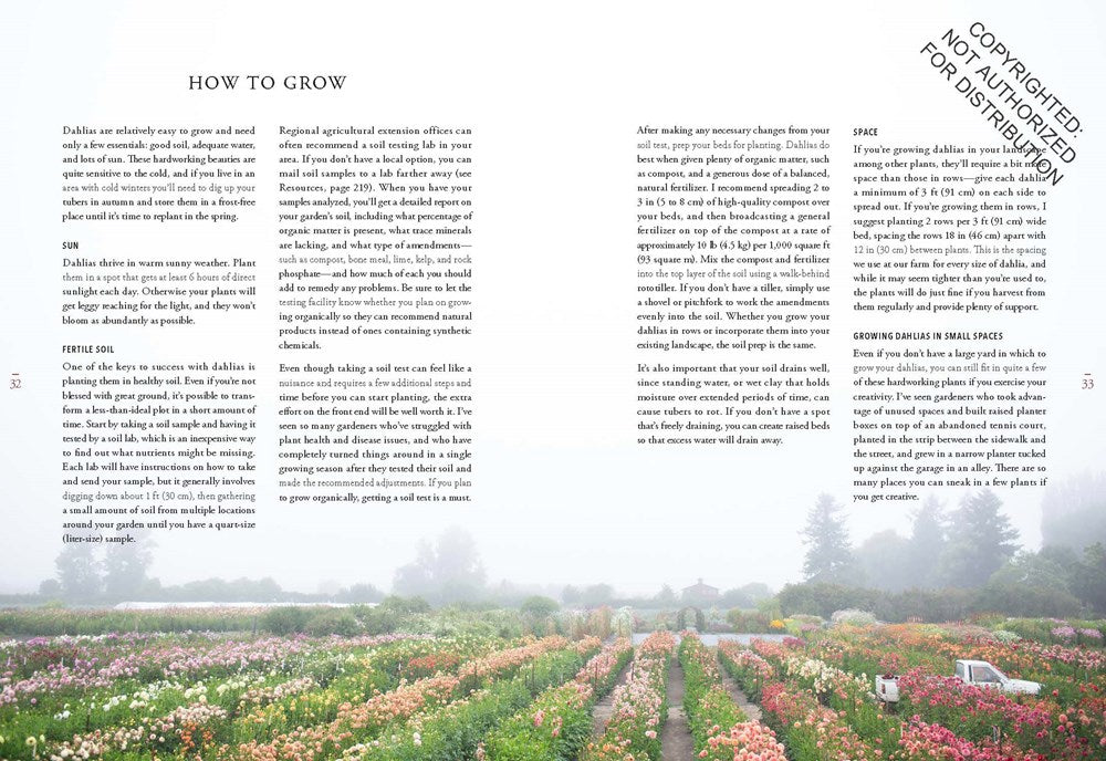 Floret Farm's Discovering Dahlias: A Guide to Growing and Arranging Magnificent Blooms
