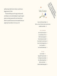 The Little Witch's Book of Spells