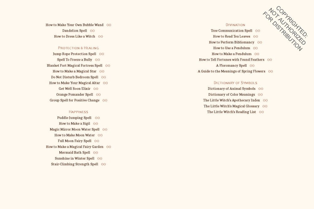 The Little Witch's Book of Spells