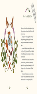 The Little Witch's Book of Spells