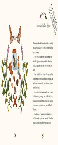 The Little Witch's Book of Spells