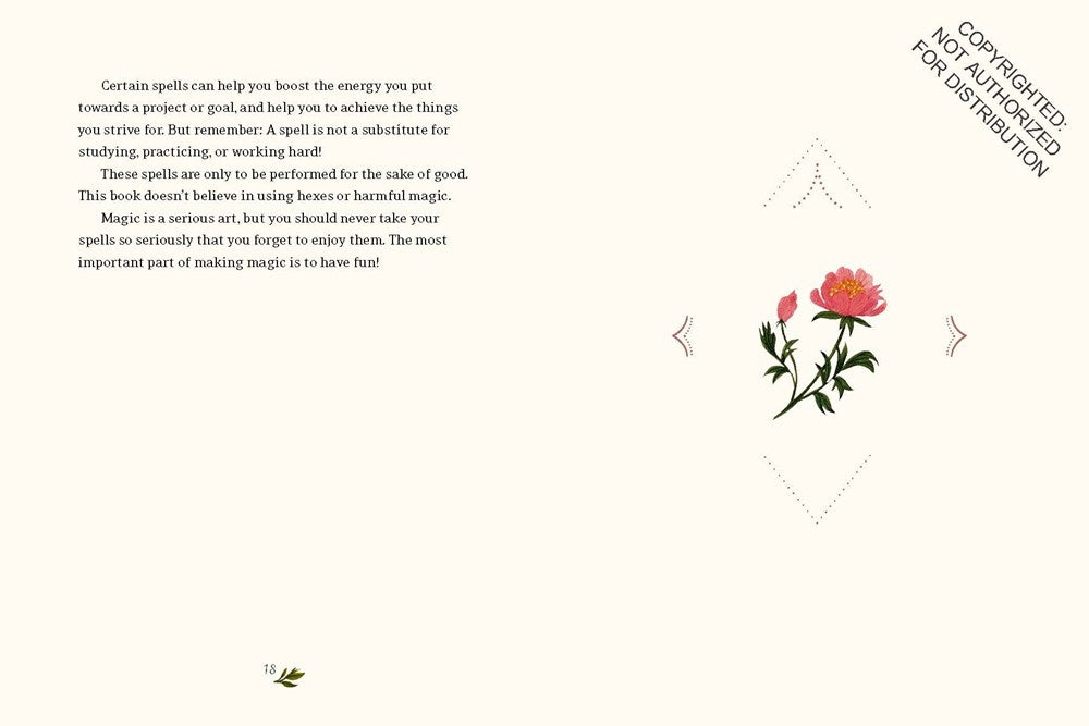 The Little Witch's Book of Spells