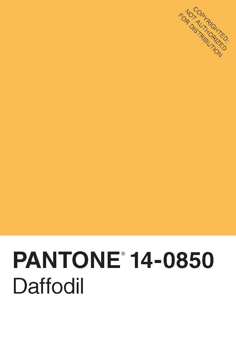 Pantone 50 Postcards