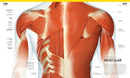 The Complete Human Body, 2nd Edition