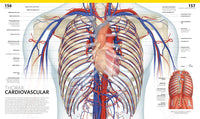 The Complete Human Body, 2nd Edition