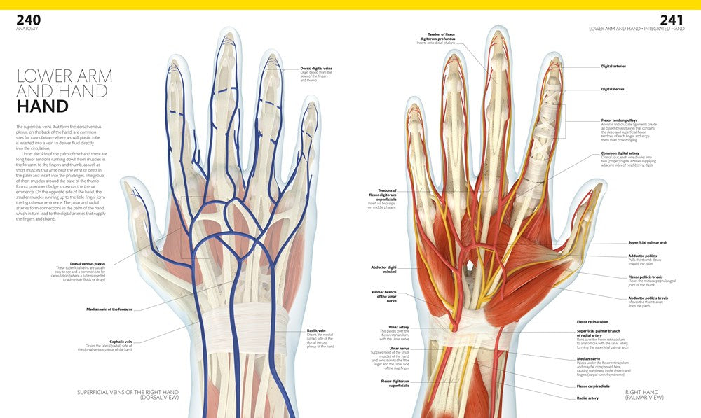 The Complete Human Body, 2nd Edition