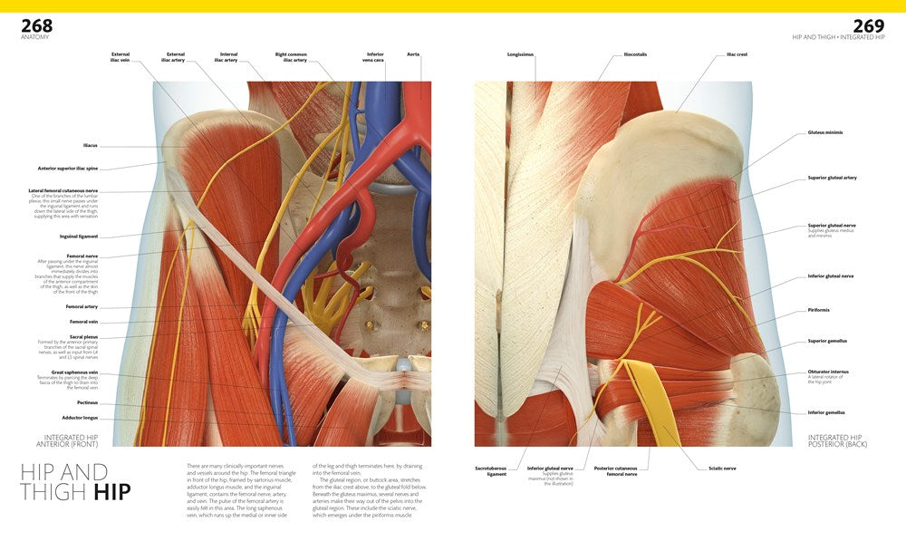 The Complete Human Body, 2nd Edition