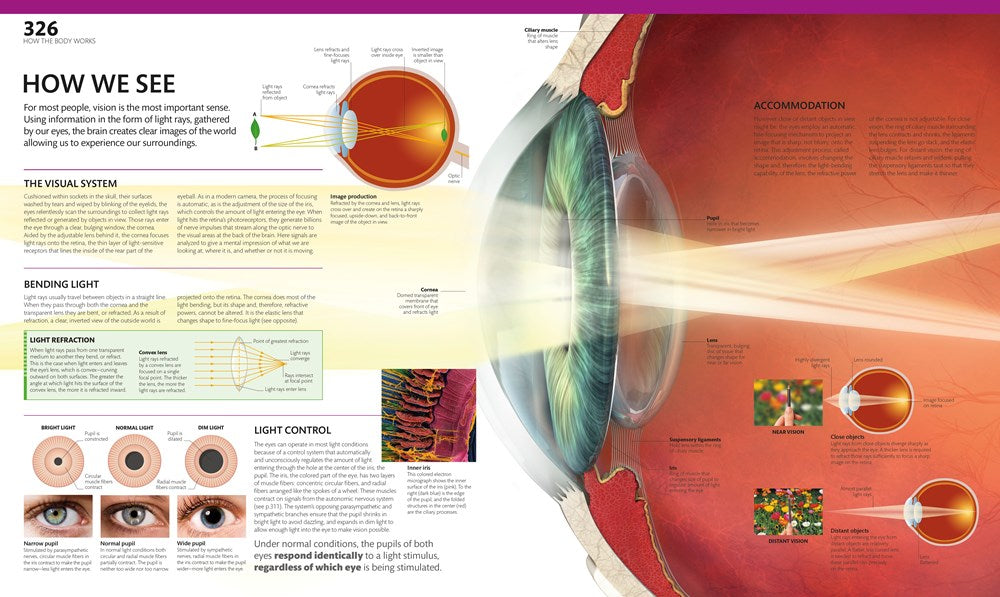 The Complete Human Body, 2nd Edition