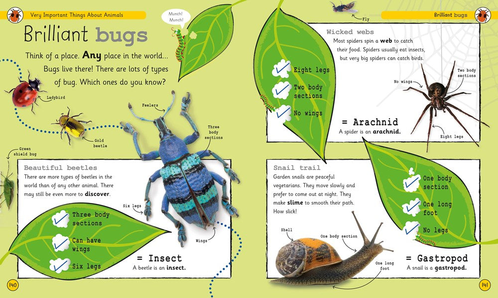 My Encyclopedia of Very Important Things: For Little Learners Who Want to Know Everything