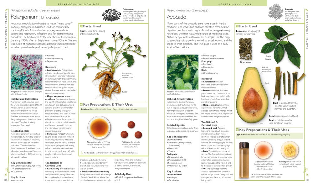 Encyclopedia of Herbal Medicine: 550 Herbs and Remedies for Common Ailments