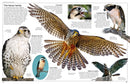 Eyewitness Eagle and Birds of Prey