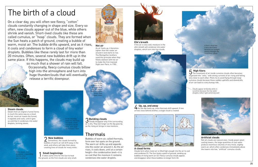 DK Eyewitness Books: Weather