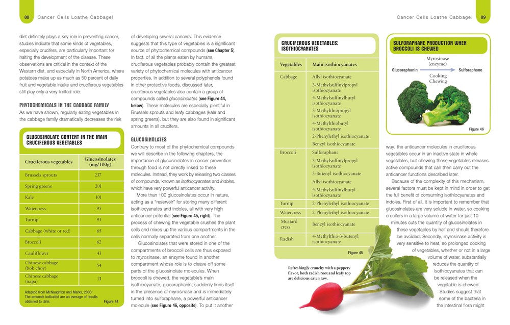 Foods to Fight Cancer