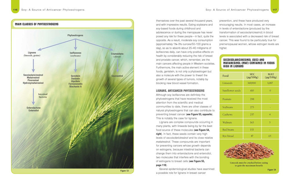 Foods to Fight Cancer