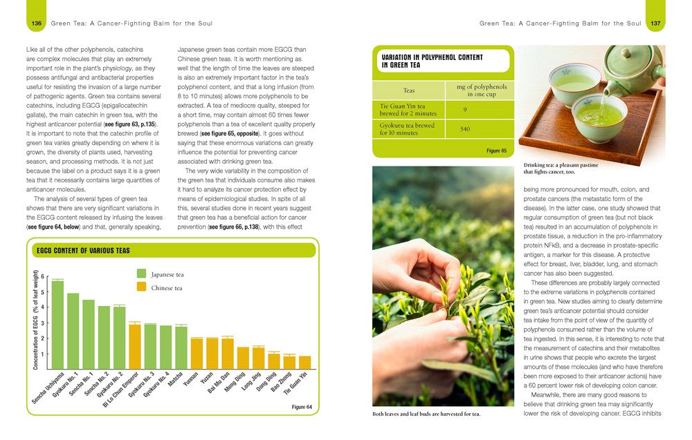 Foods to Fight Cancer