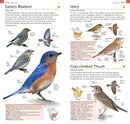 American Museum of Natural History: Pocket Birds of North America, Eastern Region