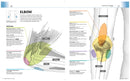 Medical Symptoms: A Visual Guide