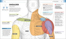 Medical Symptoms: A Visual Guide