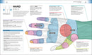 Medical Symptoms: A Visual Guide