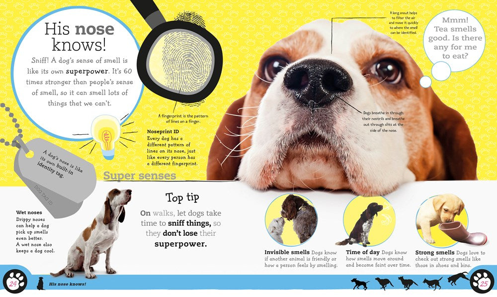 The Everything Book of Dogs and Puppies