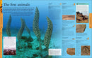 Dinosaurs: A Visual Encyclopedia, 2nd Edition  (2nd Edition)