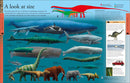 Dinosaurs: A Visual Encyclopedia, 2nd Edition  (2nd Edition)