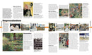 Art: The Definitive Visual Guide