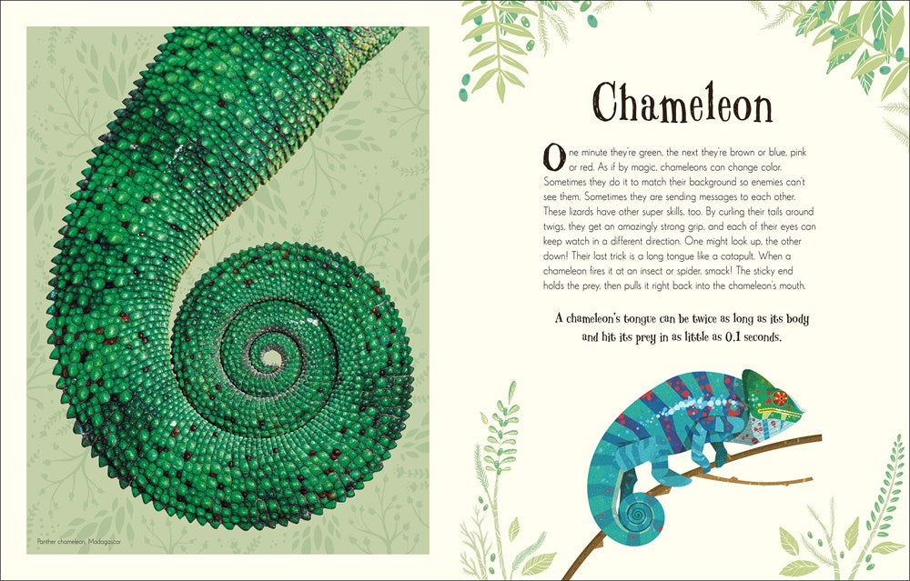 An Anthology of Intriguing Animals