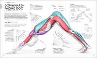 Science of Yoga: Understand the Anatomy and Physiology to Perfect Your Practice