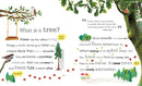 The Magic and Mystery of Trees