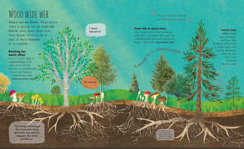The Magic and Mystery of Trees