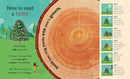 The Magic and Mystery of Trees