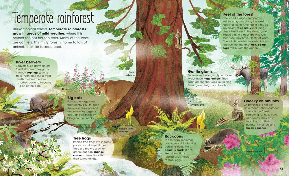 The Magic and Mystery of Trees