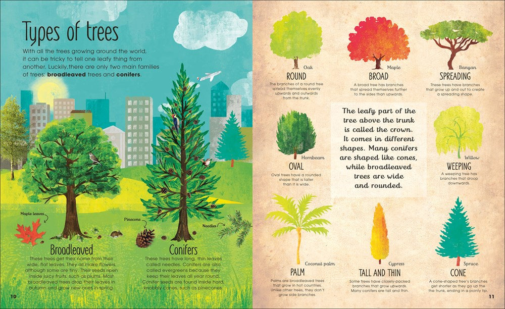 The Magic and Mystery of Trees