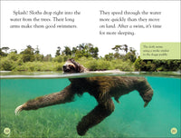 DK Readers Level 2: Sloths