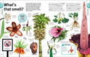 Trees, Leaves, Flowers and Seeds: A Visual Encyclopedia of the Plant Kingdom