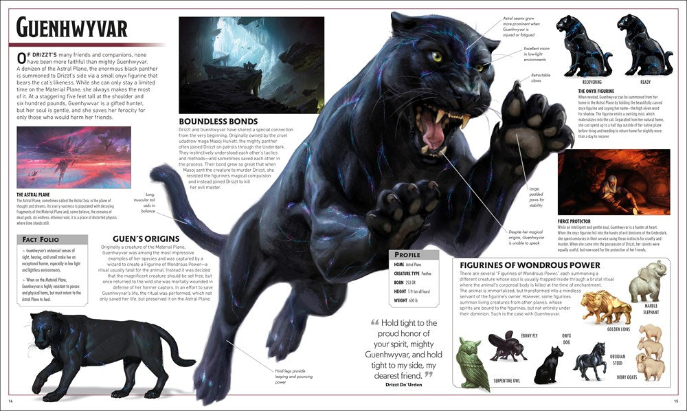 Dungeons and Dragons The Legend of Drizzt Visual Dictionary