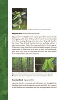 Edible Wild Plants of the Carolinas
