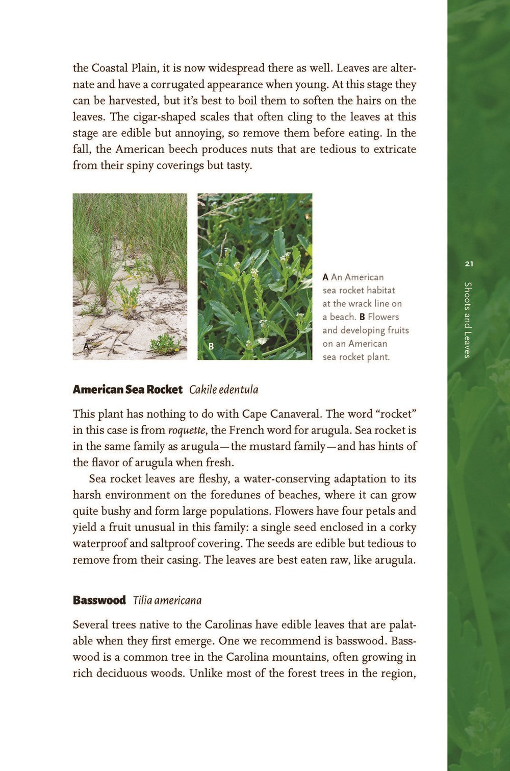 Edible Wild Plants of the Carolinas