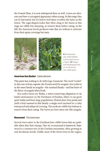 Edible Wild Plants of the Carolinas