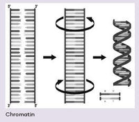 What's in Your Genome?