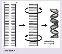 What's in Your Genome?